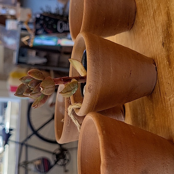 Mini clay vases- SPRING FUN!! Set of 4 - Picture 1 of 13